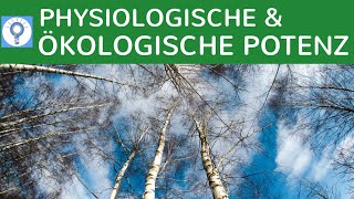 Physiologische und ökologische Potenz einfach erklärt  Wettbewerbs amp Verdrängungsprozesse Bäume [upl. by Llenyr]