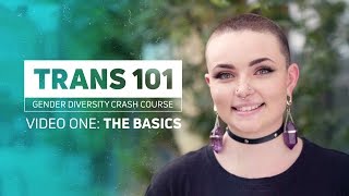 Trans 101  The Basics [upl. by Therese246]