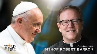 Bishop Barron on Pope Francis quotAmoris Laetitiaquot [upl. by Ahsiema258]