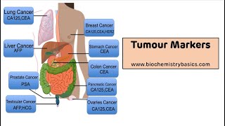 Tumour Markers  Tumour Markers Biochemistry [upl. by Ahseer]