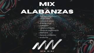 MÚSICA CRISTIANA  ALABANZAS  New Wine  MIX  GOZO [upl. by Alexei991]