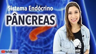 Pâncreas Sistema Endócrino  Anatomia etc [upl. by Shama138]