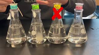 Enzyme Experiments Factors That Affect Enzyme Activity [upl. by Abih]