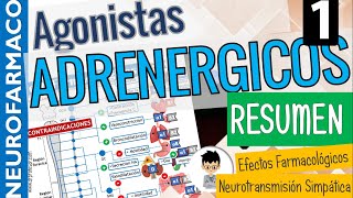 SIMPATICOMIMÉTICOS RESUMEN CLASIFICACIÓN Sinapsis Adrenérgica Receptores adrenérgicos PARTE 1 [upl. by Lord]