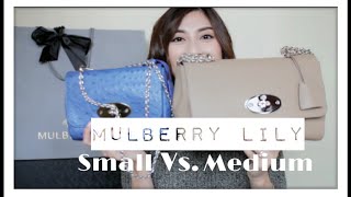 Mulberry Lily Size Comparison Small Vs Medium minimalistStyling [upl. by Zavala]