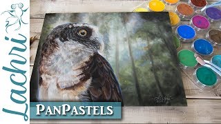 PanPastel Review amp drawing an owl demonstration  Lachri [upl. by Junji]