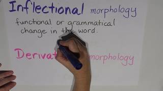 Episode 6  Morphology  Inflectional vs derivational [upl. by Tebor]