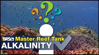 New concept in reef tank Alkalinity How it works amp how to gain 70 or more coral growth [upl. by Largent101]