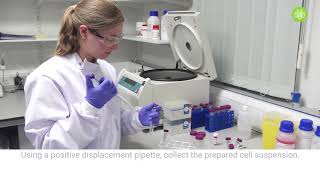 How to perform 3D cell culture [upl. by Wamsley]