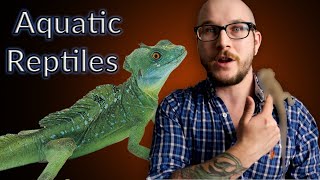 Top 5 Aquatic Reptiles That Make GREAT Pets [upl. by Jesselyn]