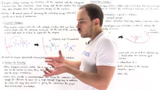 Mechanisms of Enzyme Catalysis [upl. by Eiramalegna]