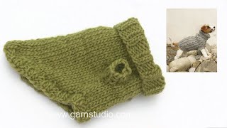 How to knit the dog coat in DROPS 10243 [upl. by Enaenaj]