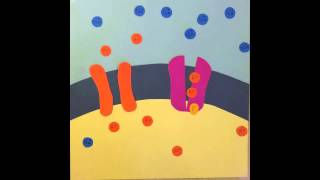 Establishing Resting Membrane Potential [upl. by Doowrehs]