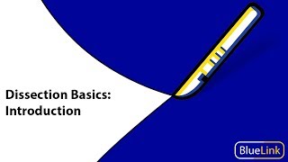 Dissection Basics  Introduction [upl. by Arries]