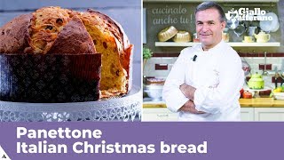 PANETTONE Italian Christmas bread traditional recipe [upl. by Tenn]