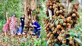 Fruit Hunters Finally Find Rarest Durian In The World [upl. by Thaine32]