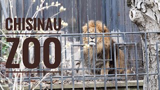 Visit Moldova Chisinau Zoo [upl. by Lynden402]