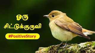 Self Motivational Story  Oru Chittu Kuruvi  Positive Stories by GhibranVaibodha  Tamil Sirukathaigal [upl. by Gniw933]