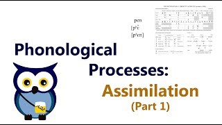 Phonological Processes Assimilation Part 1 [upl. by Rabbaj776]