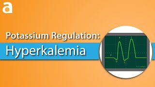 Potassium Regulation Hyperkalemia [upl. by Guimar]