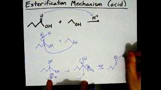 How to Make Esters Mechanism [upl. by Firehs]