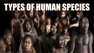 14 Different Types of Human Species  Explained [upl. by Aehsat]