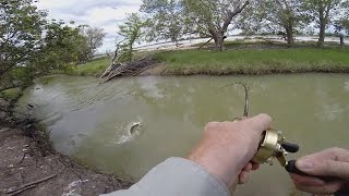 Small Creek Fishing for Barramundi [upl. by Marin]