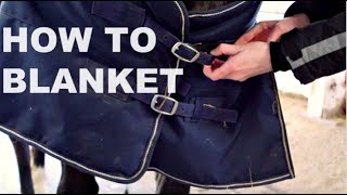 How to blanket a Horse [upl. by Eimerej]