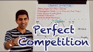 Y2 13 Perfect Competition [upl. by Jayme]