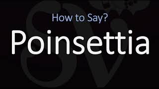 How to Pronounce Poinsettia CORRECTLY [upl. by Ilime]