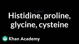 Special cases Histidine proline glycine cysteine  MCAT  Khan Academy [upl. by Julienne]