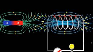 Lenzs Law [upl. by Williams]