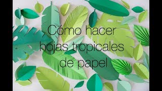 Cómo hacer Hojas Tropicales de papel [upl. by Towne25]