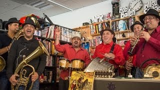 Fanfare Ciocarlia NPR Music Tiny Desk Concert [upl. by Ynnaj]