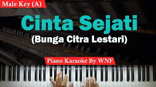 BCL  Cinta Sejati Karaoke Piano Male KeyPria [upl. by Allerim469]