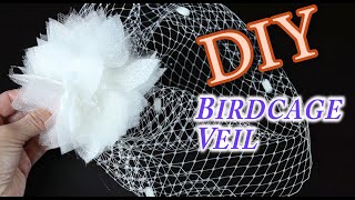 DIY Birdcage Bridal Veil [upl. by Kerekes530]