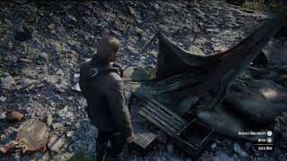 RDR2  Special Miracle Tonic Pamphlet location [upl. by Sherrie]