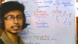 Genetics part 1 introduction to advanced genetics [upl. by Daitzman]