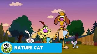 NATURE CAT  Go For A Walk  PBS KIDS [upl. by Lucas]