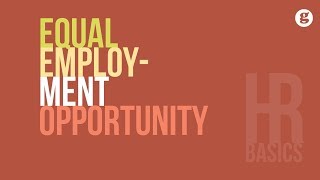 HR Basics Equal Employment Opportunity [upl. by Laurene523]