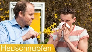 Heuschnupfen behandeln 🤧 Symptome  Tipps  Hyposensibilisierung  Allergietest [upl. by Dottie301]