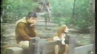 Hush Puppies 1970s commercial [upl. by Eleinad658]