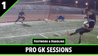 Session 1  Goalkeeper Training  Pro GK Academy [upl. by Albertson]