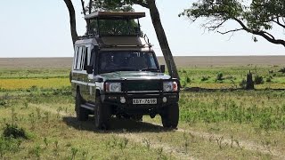 A Day on Safari in the Masai Mara [upl. by Tybalt]