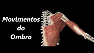 Movimentos do Ombro em 3D [upl. by Anamuj]