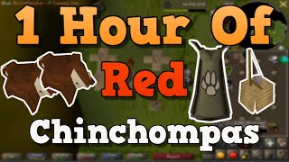 OSRS Hunting Red Chinchompas Guide 2021 [upl. by Orutra]