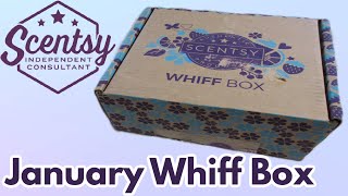 Scentsy Whiff Box January 2024 [upl. by Merl]