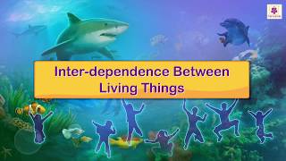 Inter Dependence Between Living Things  Science For Kids  Periwinkle [upl. by Reifel]