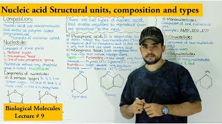 Nucleotides Explained for Students [upl. by Catha]