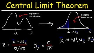 Central Limit Theorem  Sampling Distribution of Sample Means  Stats amp Probability [upl. by Assirrem]